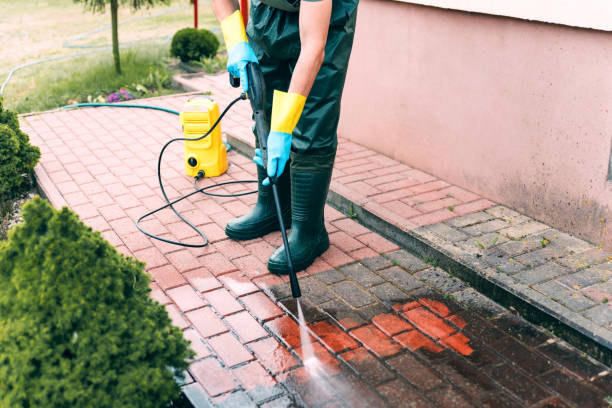 Best Roof Power Washing Services  in Beattyville, KY