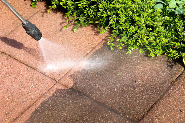 Best Roof Pressure Washing  in Beattyville, KY